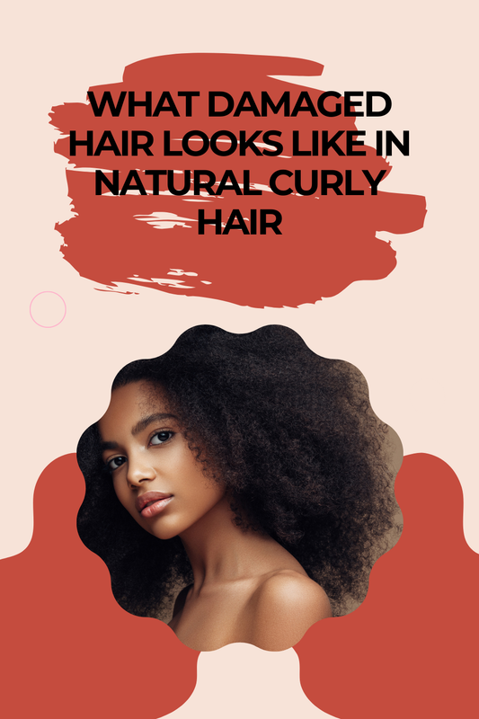 What Damaged Hair Looks Like in Natural Curly Hair