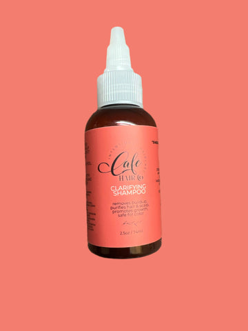 The Best Detox Clarifying Shampoo