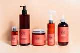 The Ceremony Compete Wash Day Bundle for Length Retention