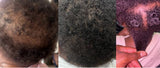 The Ceremony Compete Wash Day Bundle for Length Retention